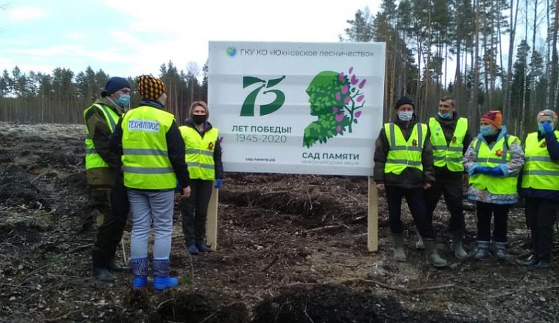 6,5 тысяч молодых деревьев высадили в честь воинов-освободителей Юхнова
