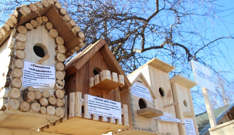 Калужских школьников и студентов пригласили построить скворечники