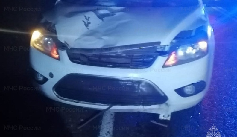 В Сухиничском округе на автодороге легковушка сбила пешехода