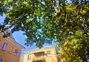 Калужан продолжает согревать июньское солнце 
