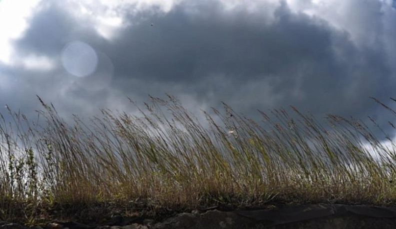 МЧС предупреждает о сильном ветре 8 мая в Калужской области