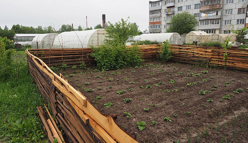 Ни к селу ни к городу