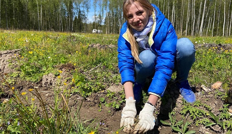 В Калужской области в рамках акции «Сад памяти» высадили 8000 сеянцев ели
