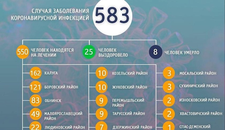 Число заболевших коронавирусной инфекции в Калужской области в течение субботы не изменилось