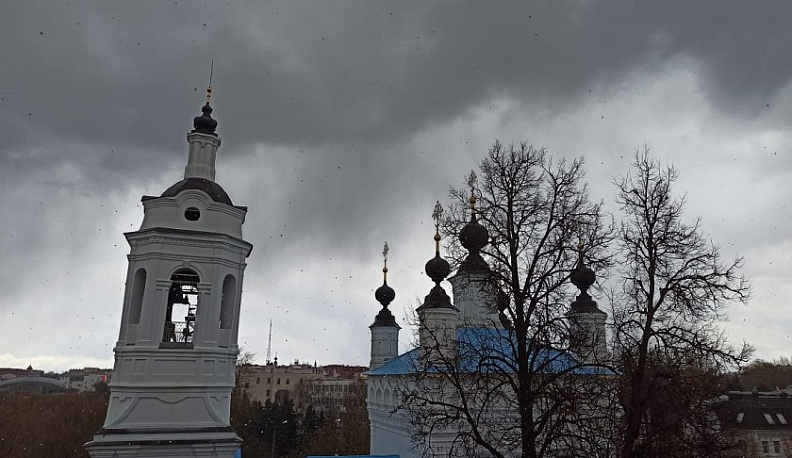 21 ноября отмечается Михайлов день 