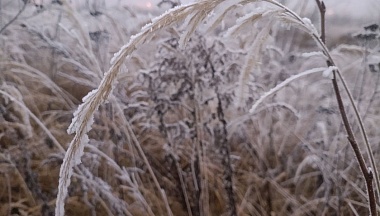 23 декабря в Калуге резко похолодает