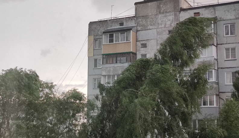 Жителей Калужской области снова предупредили об усилении ветра 31 октября