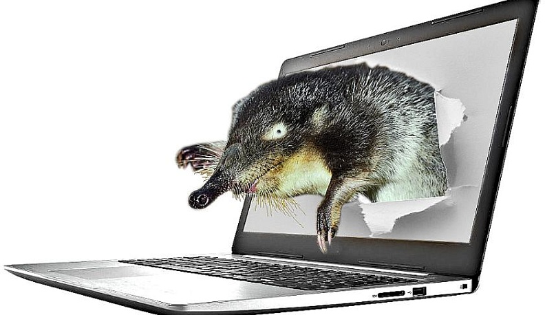 Вперёд, и с гаджетом!