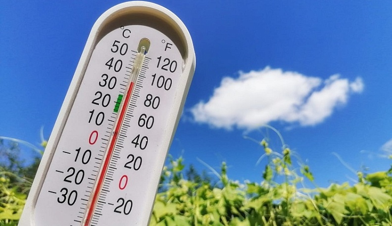 К выходным в Калужскую область вернется 30-градусная жара