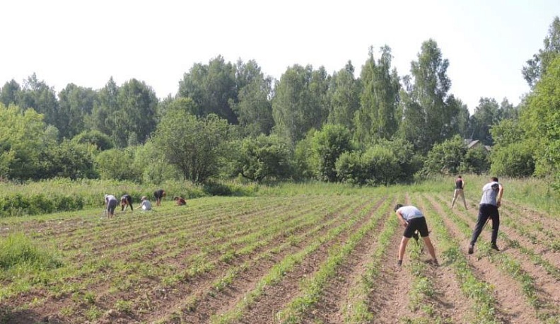 Летняя трудовая 