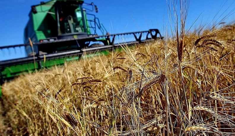 В Калужской области сельхозпроизводство за год выросло почти на 4 процента