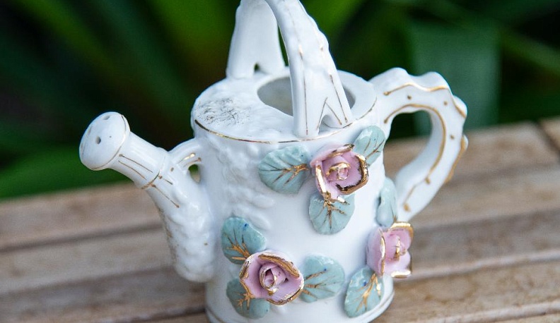 Сказки из лейки