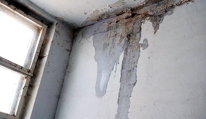 Сиротская доля