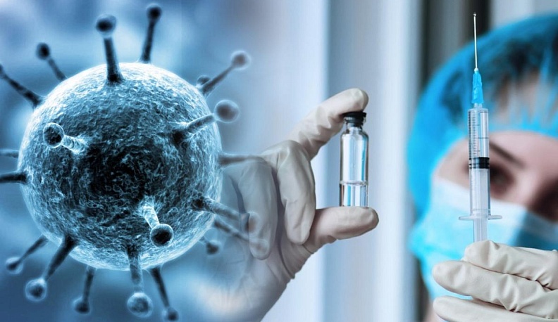 Привейся и … ЖИВИ!