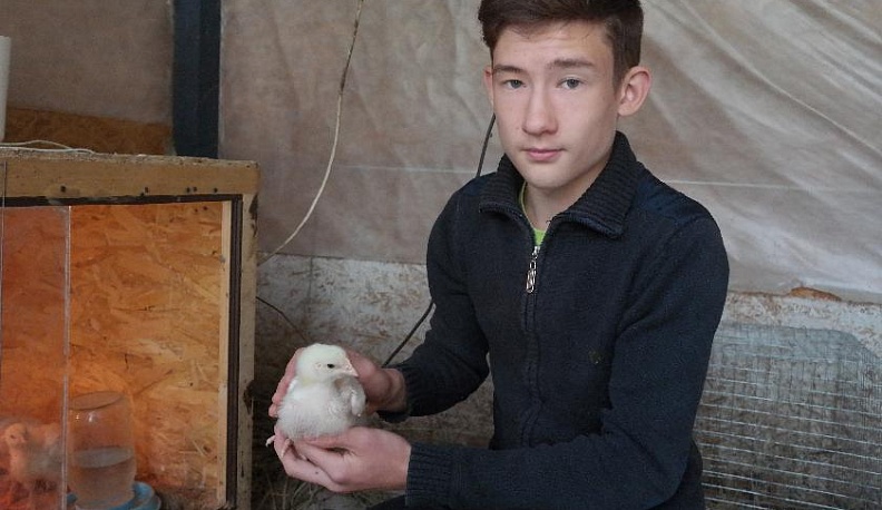 Ислам, гуси, Глинка и мировая история