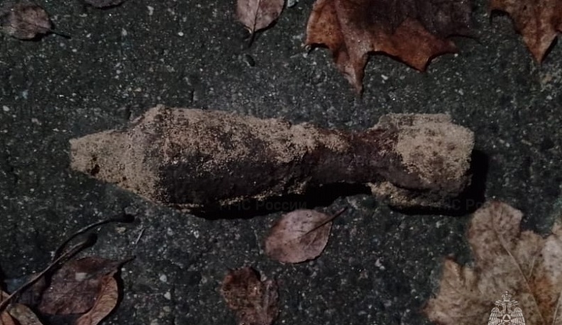 В Калужской области обезвредили две мины