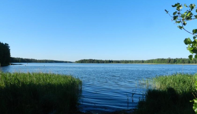  Работы по экологической реабилитации Людиновского водохранилища возобновились