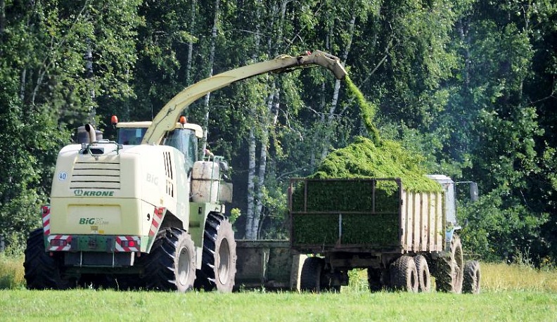 Чтобы было больше молока и мяса