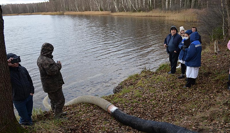 В озеро Ломпадь в Людинове выпустили более 30 тысяч мальков рыбы