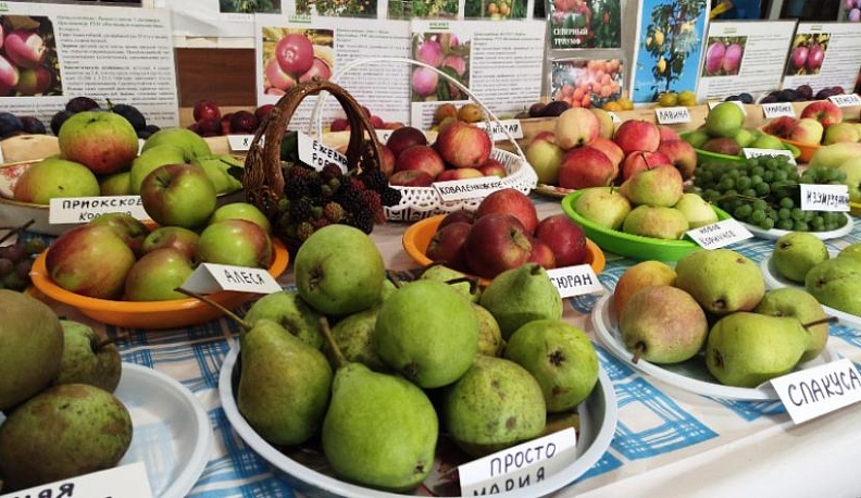 В Яблочный Спас калужане удивляли не только яблоками