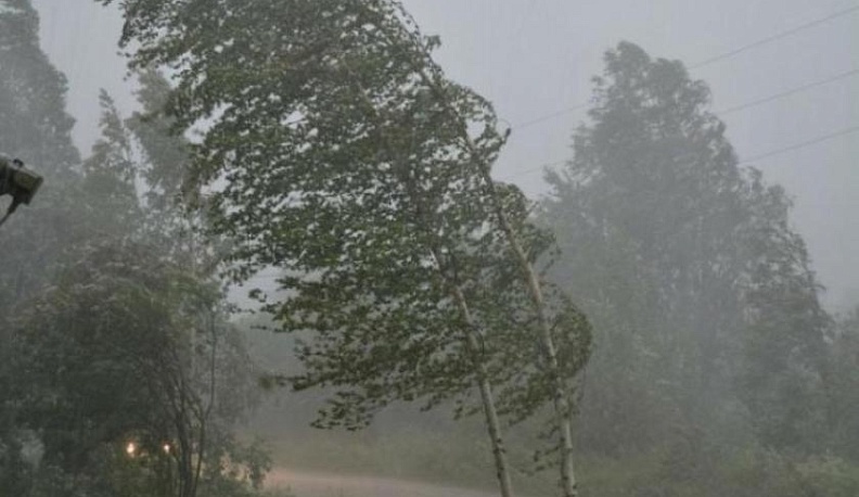 В Калужской области 28 июля ожидается гроза с сильным дождем