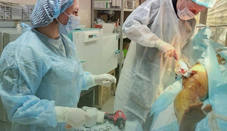 Бригада медиков вернулась из Первомайска в Калужскую область