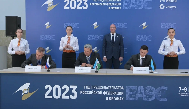 В России создадут пляжный семейный курорт «Новая Анапа»