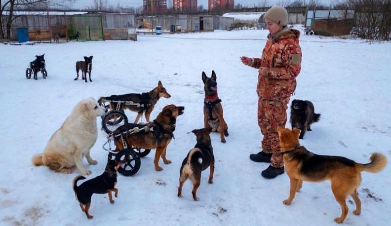 Козельский депутат помог приюту для бездомных животных