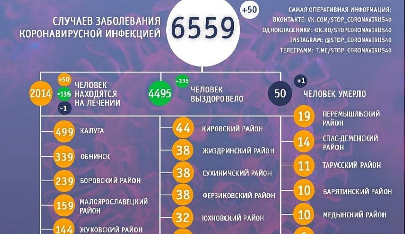 10 июля список жертв короновируса в Калужской области достиг 50 человек