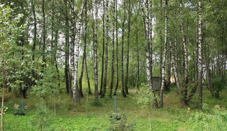 Дмитрий Денисов пообещал сохранить березовую улице на Новослободской улице в Калуге