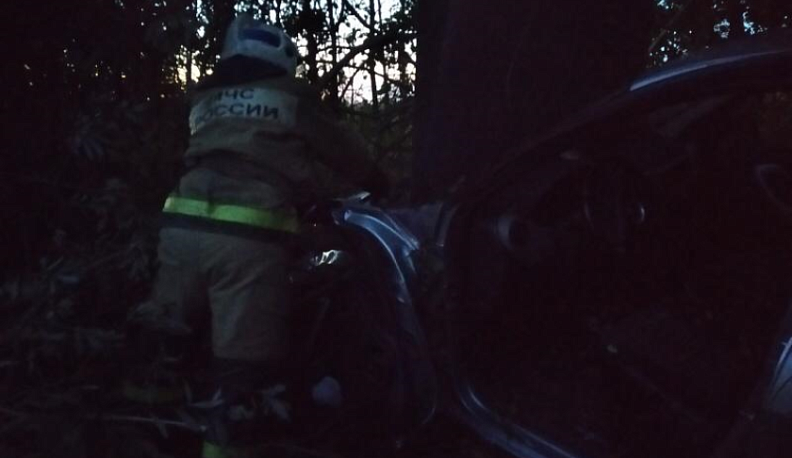 В Жиздринском районе Рено слетел в кювет и врезался в дерево