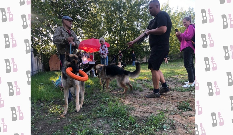 В Людинове прошли «Весёлые старты» для собак