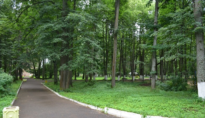 Калужскому памятнику природы официально установили границы