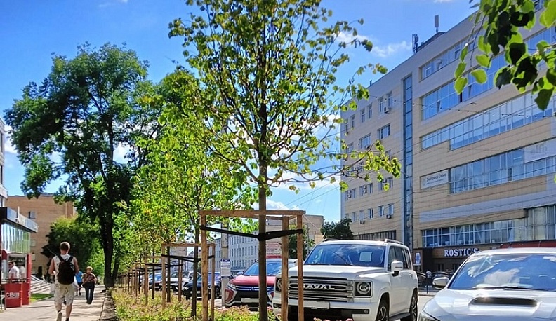 Около двух тысяч растений высадили в Калуге