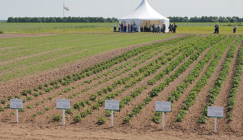 В регионе в 18-й раз прошел День Калужского поля