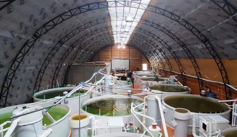 Людиновский предприниматель реализует уникальный проект благодаря господдержке 