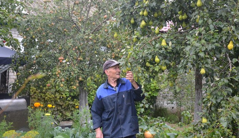 Золотое времечко