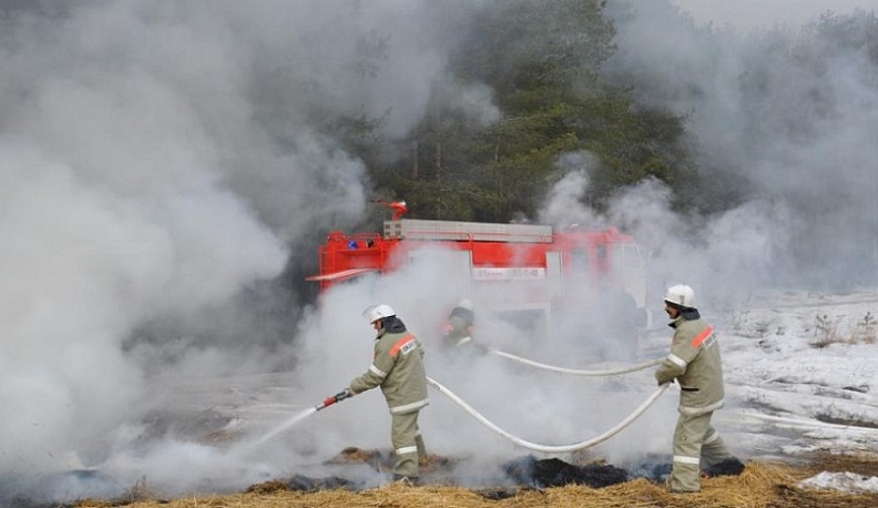 Что делать если вы стали свидетелем лесного пожара