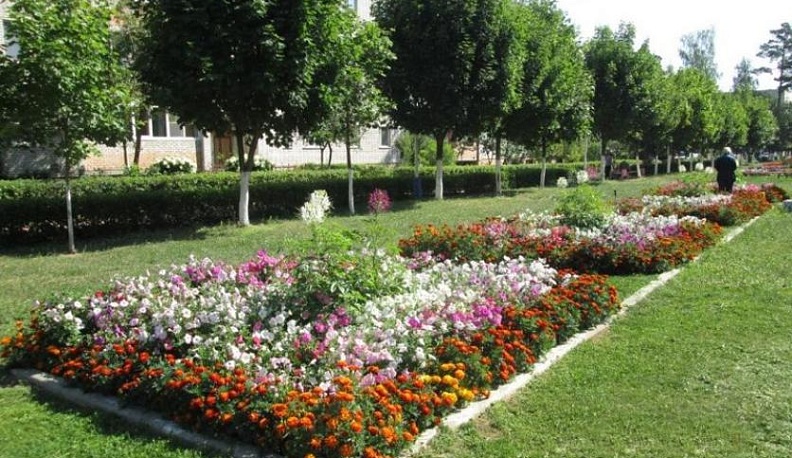 Для калужских предпринимателей, занимающихся озеленением, предусмотрены налоговые льготы