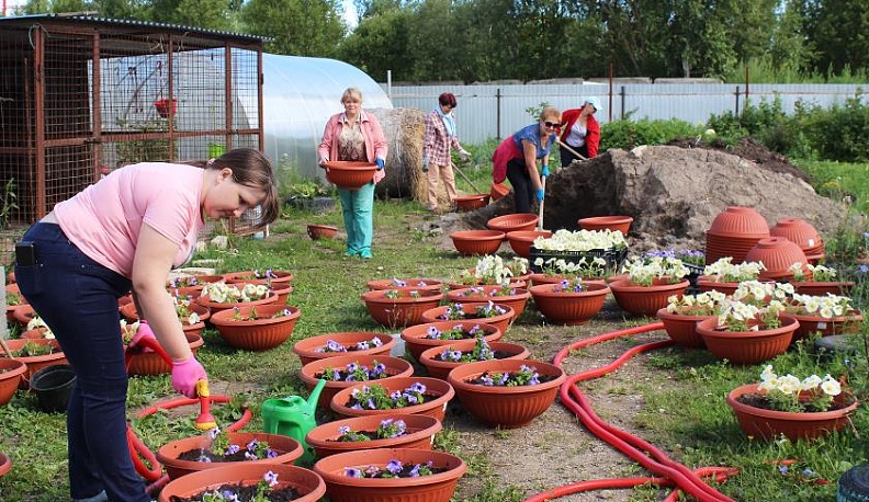 Раз цветочек, два цветочек – будет радуга