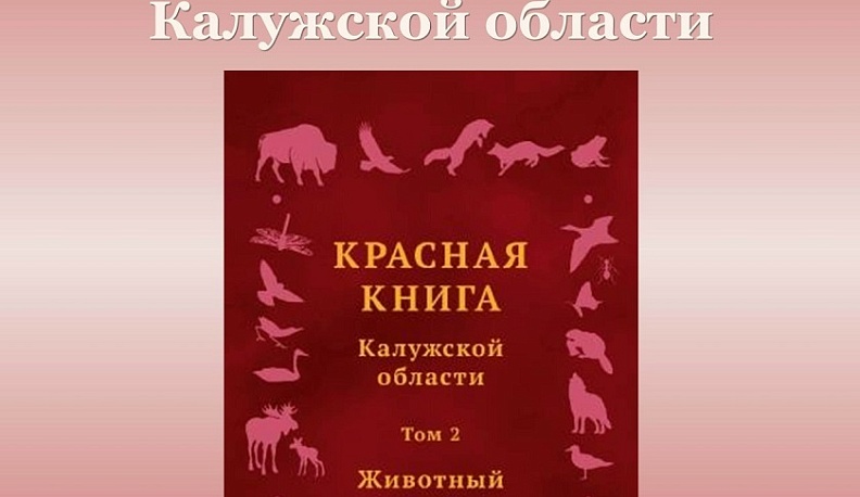 В третье издание калужской Красной книги войдут 29 новых животных