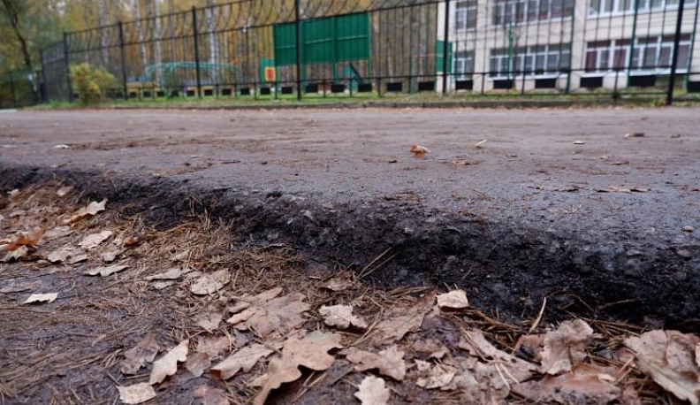 Благодаря активистам ОНФ решился вопрос с единственным маршрутом к двум детсадам