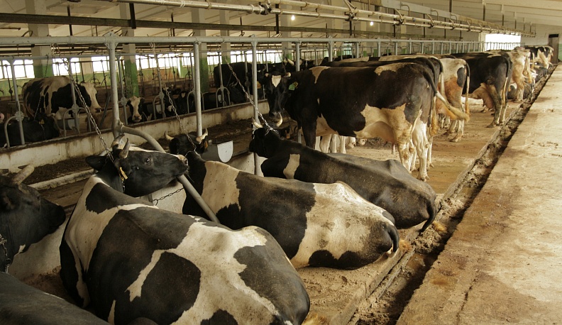 Слабое звено