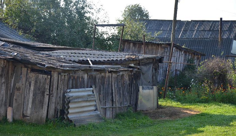 Картина маслом 