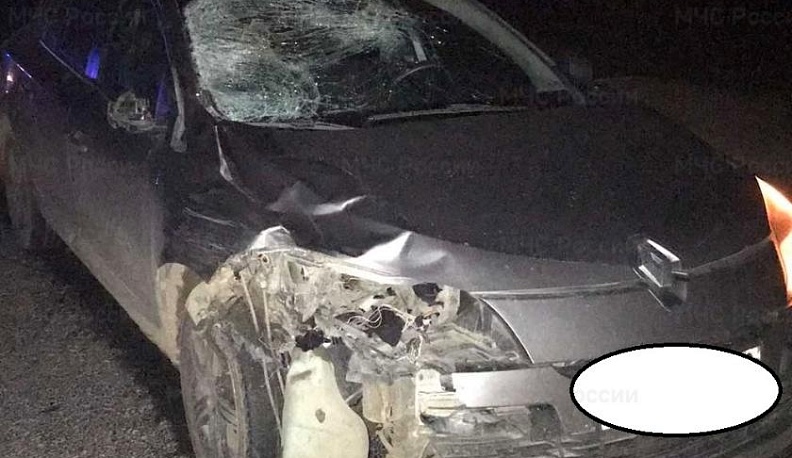 В Калужской области иномарка насмерть сбила 34-летнюю женщину