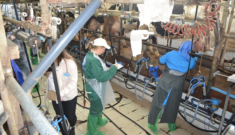 В селе Дворцы состоялся областной конкурс операторов машинного доения