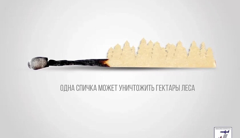 В Калужской области ввели ограничения на посещение лесов