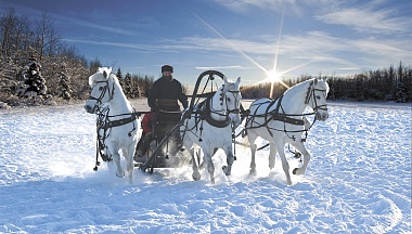 Эх, тройка!   Птица-тройка!