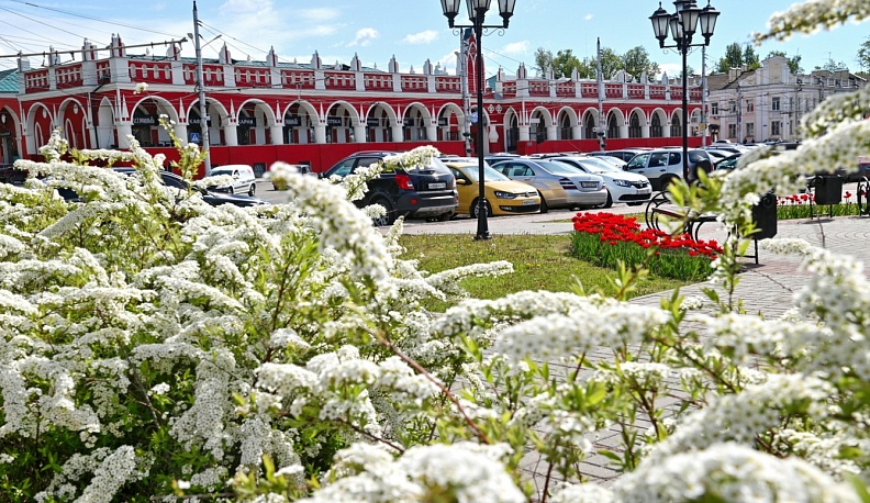 Калужан приглашают присоединиться к флешмобу #СпасибоРодная
