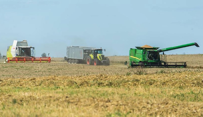 Зерновая столица